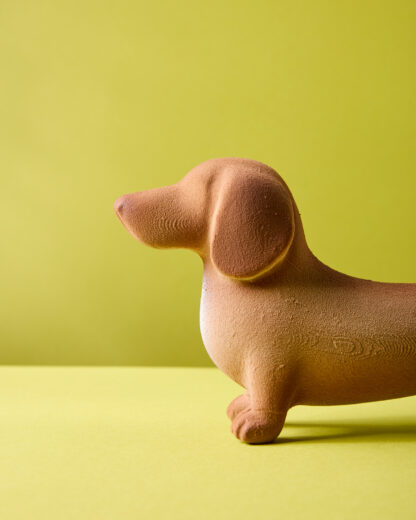 Perro salchicha Pipacho - Image 11