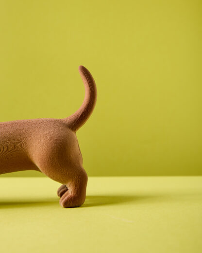 Perro salchicha Pipacho - Image 12