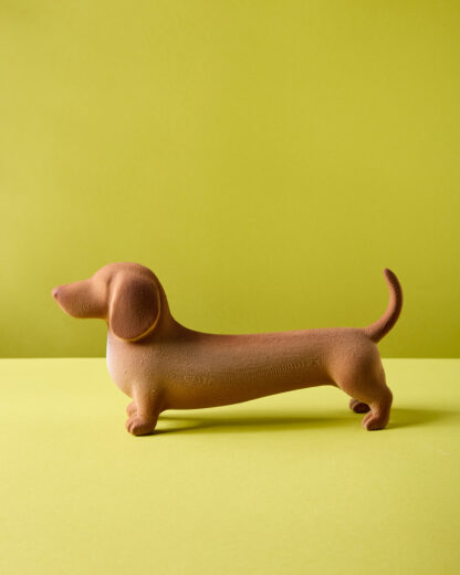 Perro salchicha Pipacho - Image 2