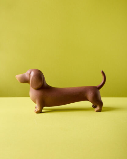 Perro salchicha Timoteo - Image 2