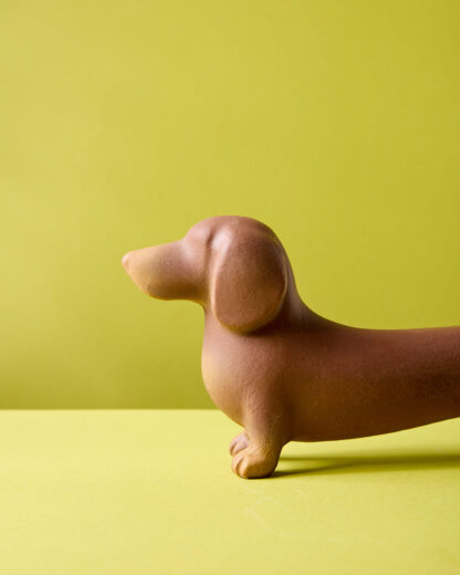 Perro salchicha Timoteo - Image 10