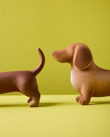 Perro salchicha Pipacho - Image 13