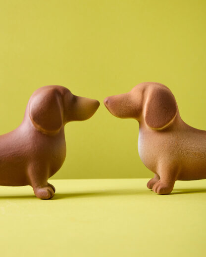 Perro salchicha Pipacho - Image 4