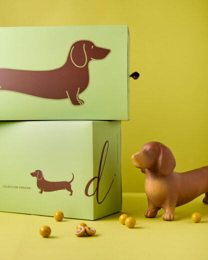 Perro salchicha Timoteo - Image 5