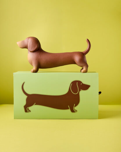 Perro salchicha Timoteo