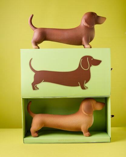 Perro salchicha Pipacho - Image 3