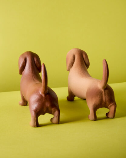 Perro salchicha Pipacho - Image 8