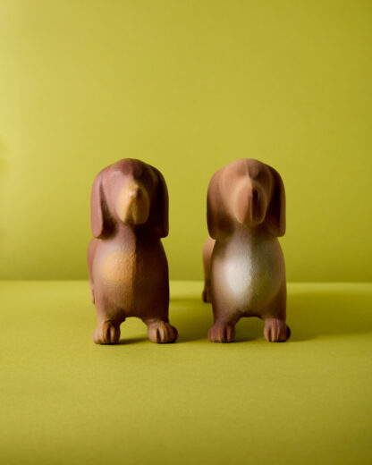 Perro salchicha Pipacho - Image 10