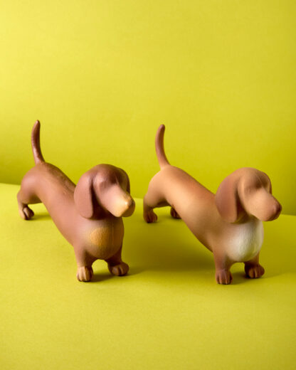 Perro salchicha Pipacho - Image 6