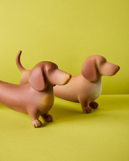 Perro salchicha Pipacho - Image 7